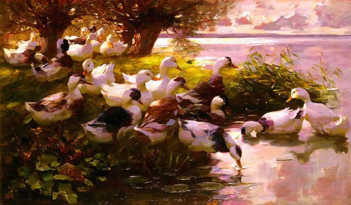 Alexander Koester Max Ducks On A Lake